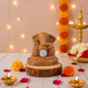 Ganesha Idol with 999 Silver Coin & Pooja Kit